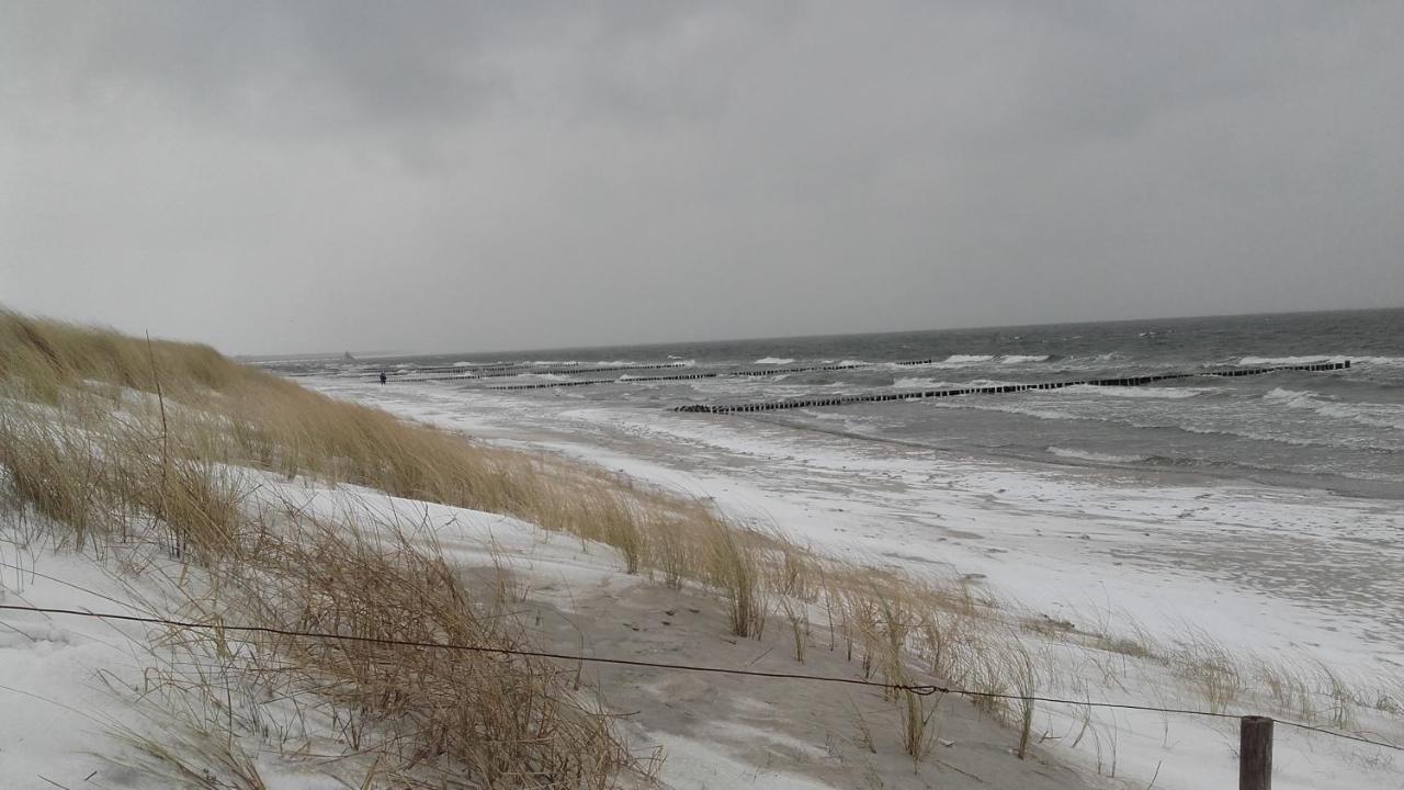 Logierhaus Friedrich We 15 - "Ostseeluft" Leilighet Zingst Eksteriør bilde